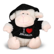 Fluffy Sheep Toy with Jerusalem Hoodie 