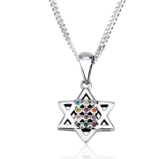 Marina Jewelry Hoshen Star of David Sterling Silver Necklace 