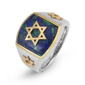 Marina Jewelry 925 Sterling Silver Men's Gold Plated Star of David Ring with Eilat Stone