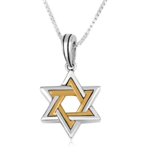 Sterling Silver and Gold Plated Star of David Necklace
