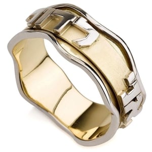 Contemporary-14K-Gold-Spinning-Ani-LDodi-Ring-BenJ-0005_large.jpg