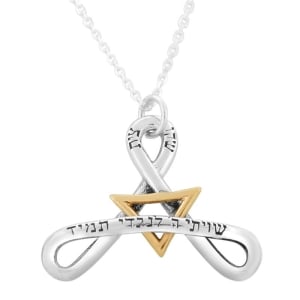 Gold-and-Silver-Star-of-David-Necklace---Shiviti-AR-PV383_large.jpg