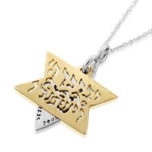 Silver-and-Gold-Priestly-Blessing-and-Heal-Me-Lord-Star-of-David-Necklace-AR-DV338_large.jpg