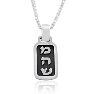 Sterling Silver Hebrew Letters Dog Tag Kabbalah Necklace - Healing