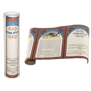 Illustrated Megillat Esther With Clear Case