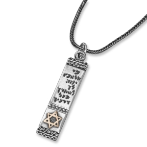 Traveler's Prayer: Silver Pendant with Gold Star of David
