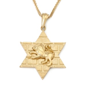 14K Gold Star of David Unisex Pendant with Lion of Judah and Western Wall Motif