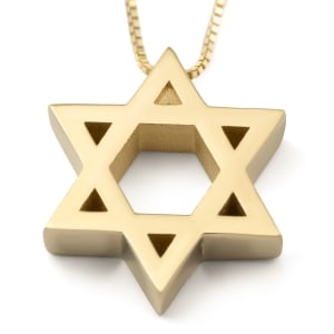 Deluxe 14K Gold Star of David Pendant Necklace (Choice of Colors)