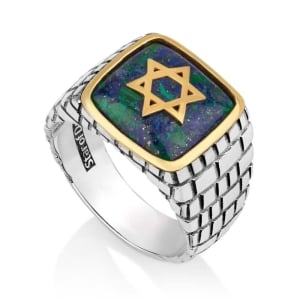 Marina Jewelry 925 Sterling Silver Men's Gold Plated Star of David Jerusalem Ring with Eilat Stone
