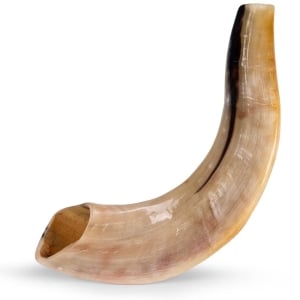 Classical-Rams-Horn-Shofar---Extra-Small---Polished-SM-26-30-P_large.jpg