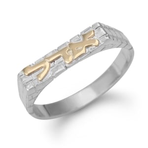Thin Sterling Silver Hebrew Name Ring for Women with Western Wall Design