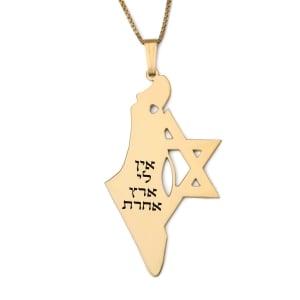 Luxury Thickness No Other Land Map of Israel Necklace with Star of David - Silver or Gold-Plated