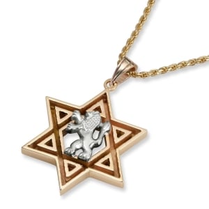 Rafael Jewelry 14K Yellow & White Gold Men's Star of David Necklace with Lion of Judah 