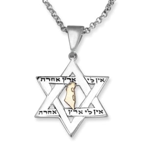 No Other Land: Silver and Gold Star of David Pendant Necklace for Men