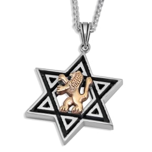 Israelite Necklace TAHLIA Hebrew Israelite Jewelry for Men and Women Lion of Judah Necklace Chain 