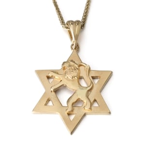Star of David & Lion of Judah 14K Gold Pendant Necklace