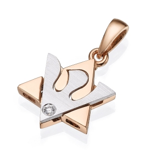 18K Rose Gold Star of David Pendant with 18K White Gold Dove and White Diamond