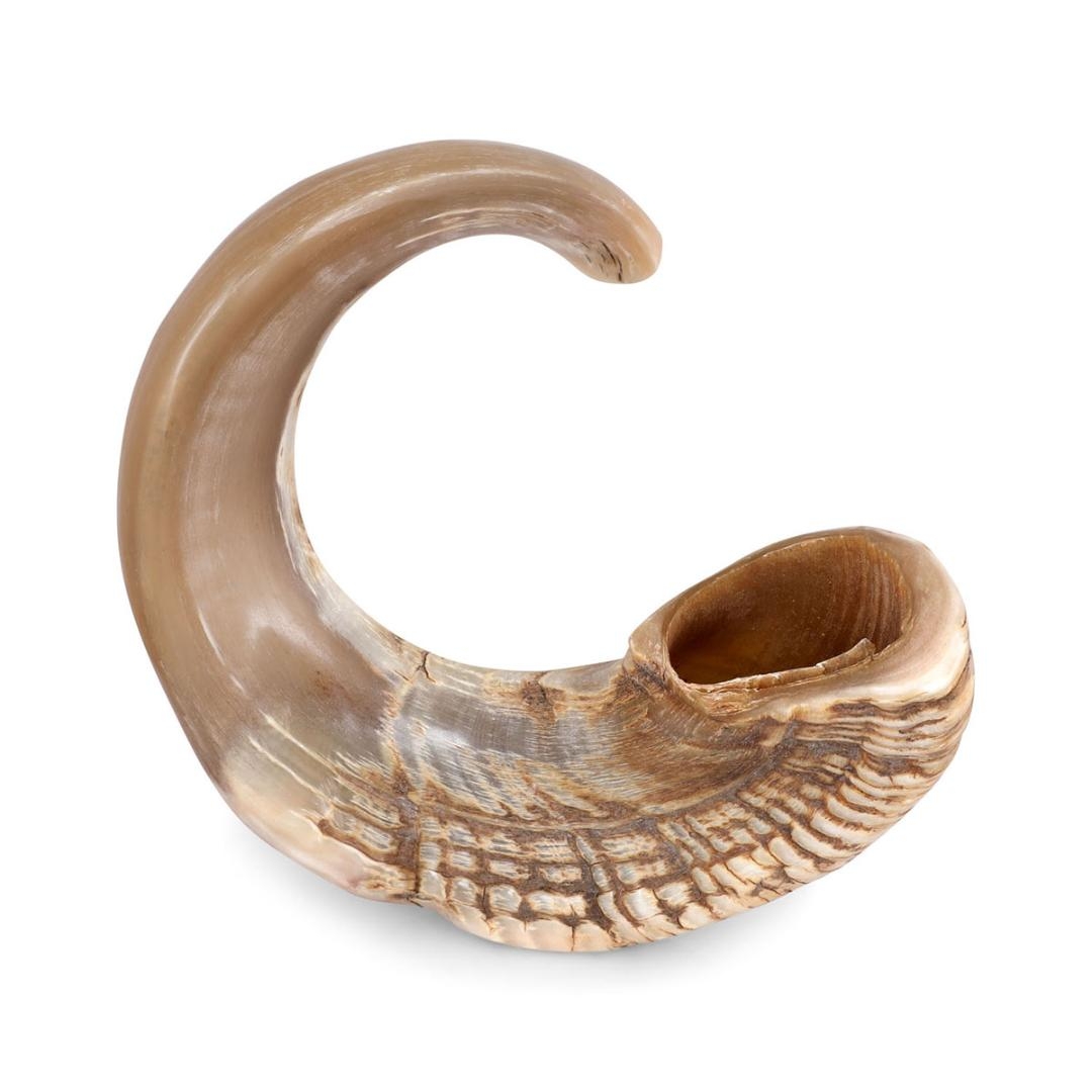 16"-20" Spiral Ram's Horn Shofar – Natural - 1
