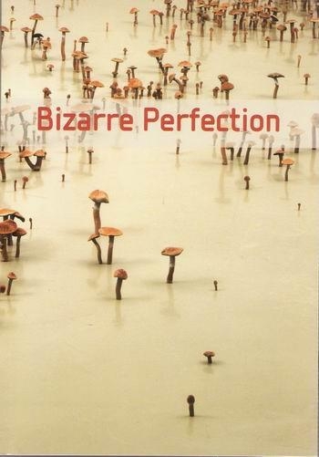  Bizarre Perfection - 1