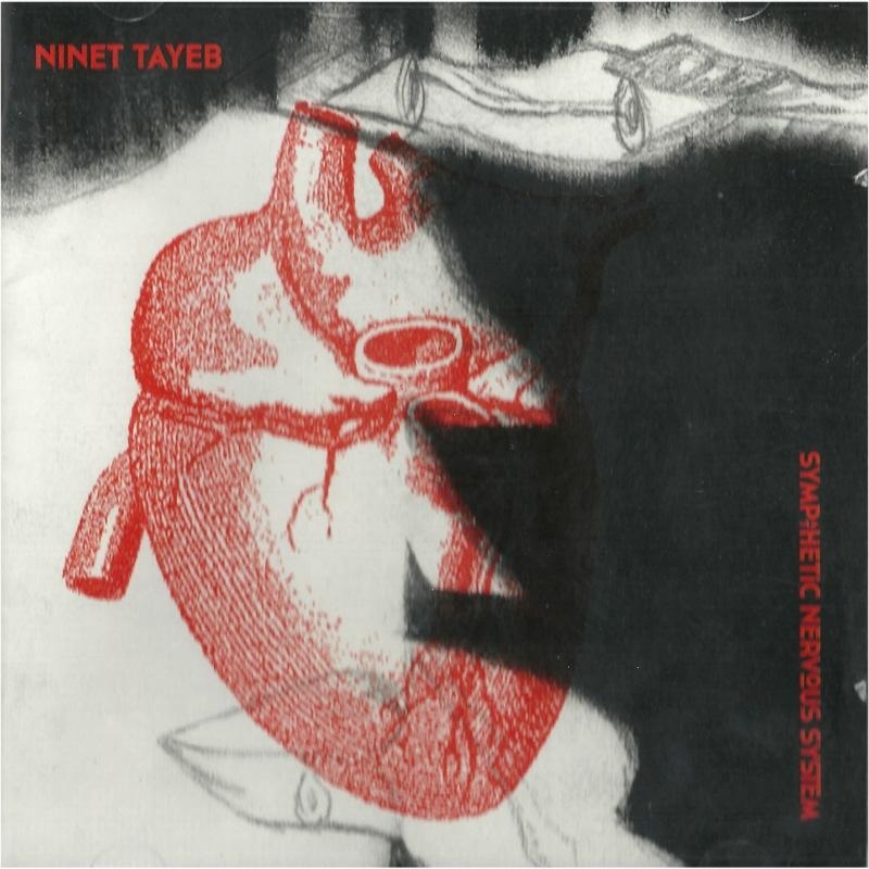 Ninet Tayeb. Sympathetic Nervous System (2012) - 1