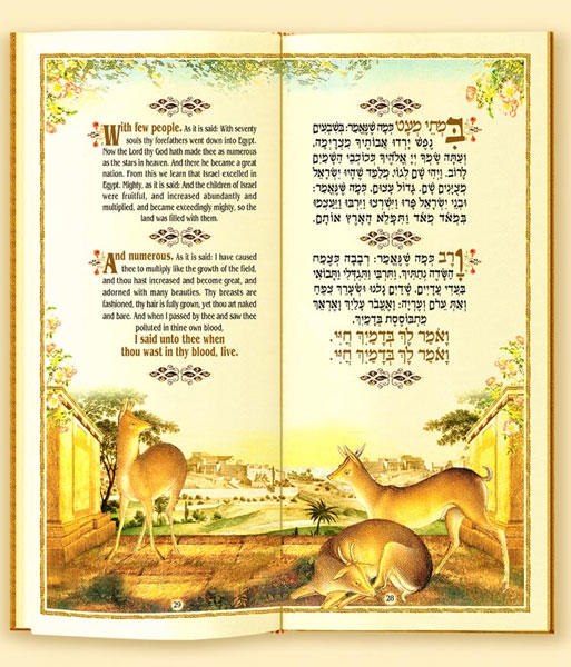  Spring Passover Haggadah - Prestigious edition with gold embossing - 1