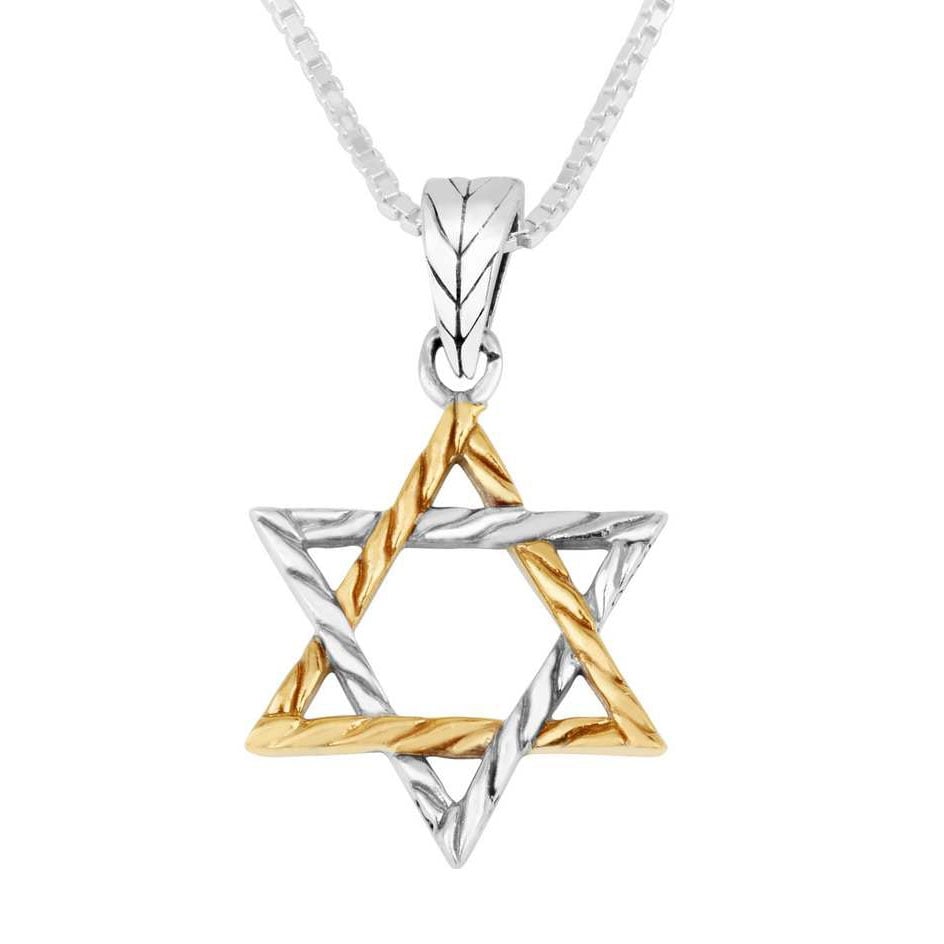 Marina Jewelry 925 Sterling Silver Two-Toned Star of David Necklace - 1