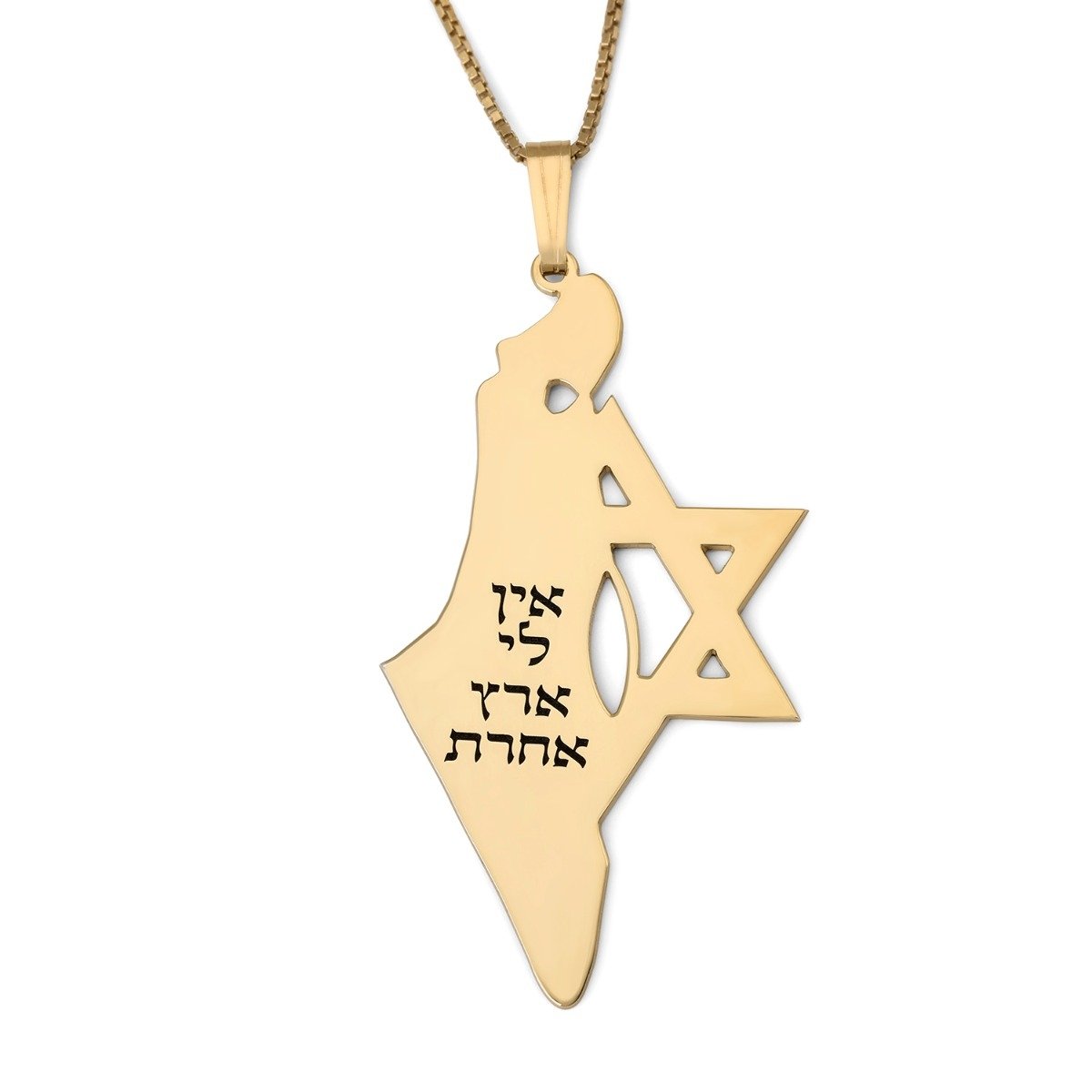 Luxury Thickness No Other Land Map of Israel Necklace with Star of David - Silver or Gold-Plated - 1