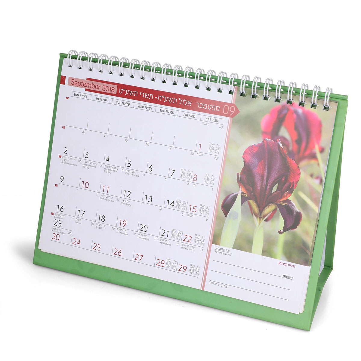 Flowers of Israel Desktop Calendar 5780 - 2019-20 - 1