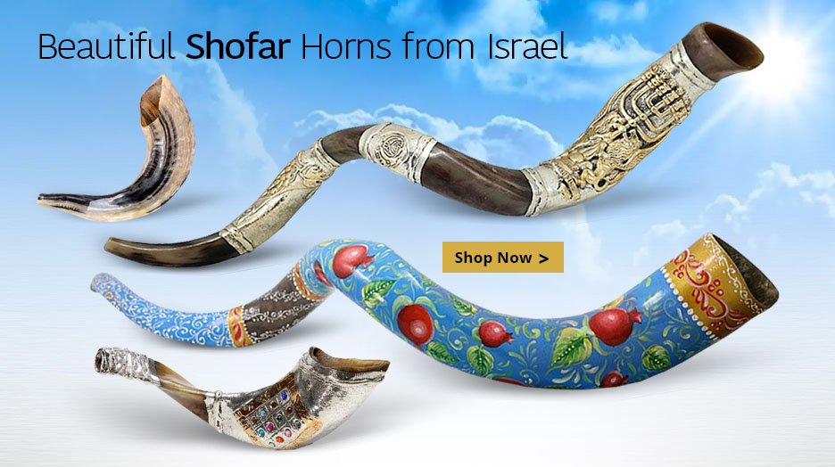 Beautiful Shofar Horns from Israel